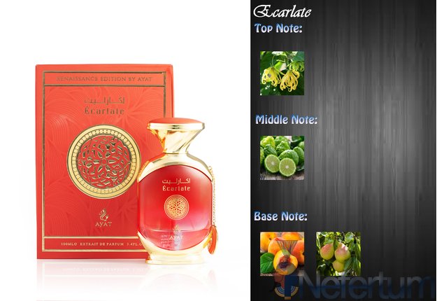 Ayat - Renaissance Edition - ECARLATE, 100ml moteriški