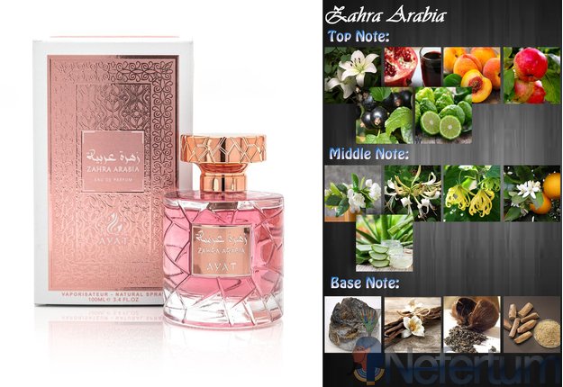 Ayat - Oriental Dreams - ZAHRA ARABIA, 100ml moteriški