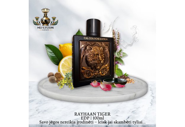 Rayhaan TIGER, 100ml, EDP, vyriški