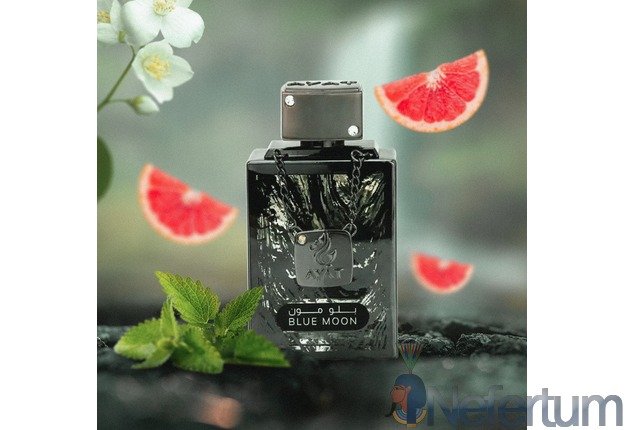 Ayat - Diamond - BLUE MOON, 100ml vyriški 1