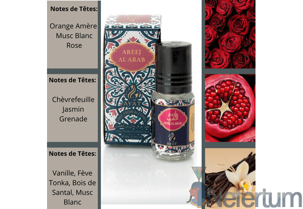 Ayat - AREEJ AL ARAB, CPO 3ml, moteriški 1