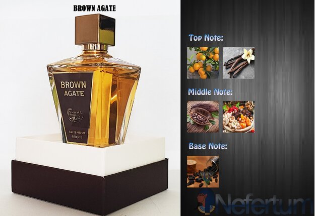 Shams Perfumes BROWN AGATE, EDP 100ml, moteriški