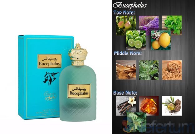 Shams Perfumes BUCEPHALUS, EDP 2ml, mėginukas